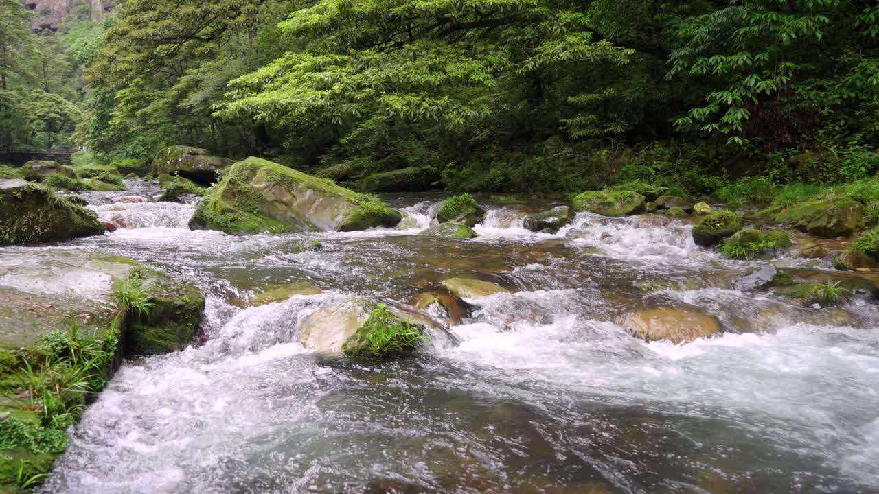 Rekaman Gerak Lambat Anak Sungai, Sungai Kecil, dan Aliran Air