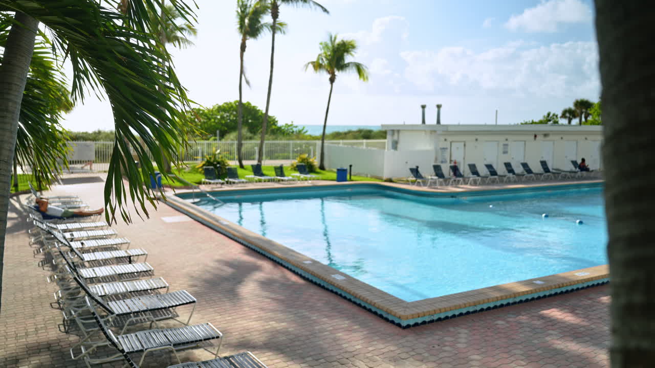 Udendørs swimmingpool med palmer og strandudsigt. Tropisk swimmingpoolområde med liggestole, palmer og havudsigt i Miami Beach, Florida.
