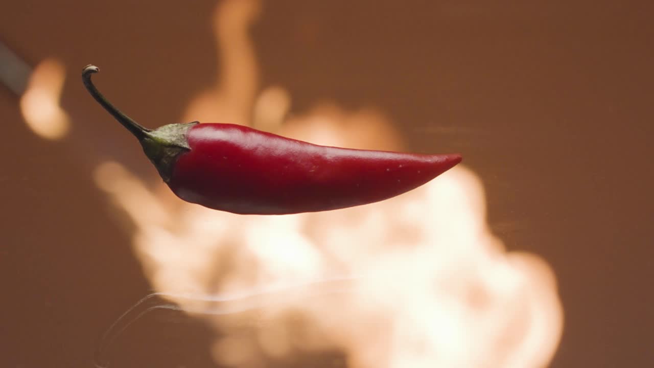 불에 대항하는 은 고추