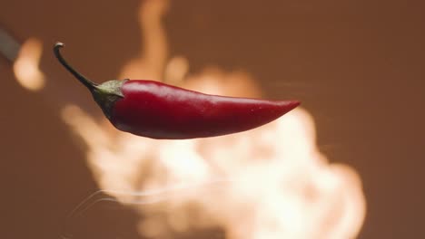 red chili pepper against fire