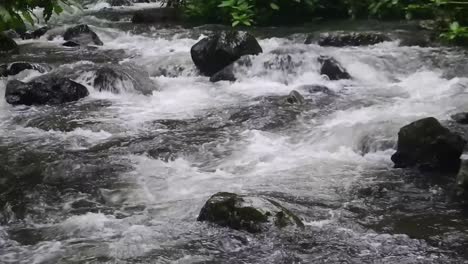 Water-flows-in-the-river-in-the-forest-in-slow-motion
