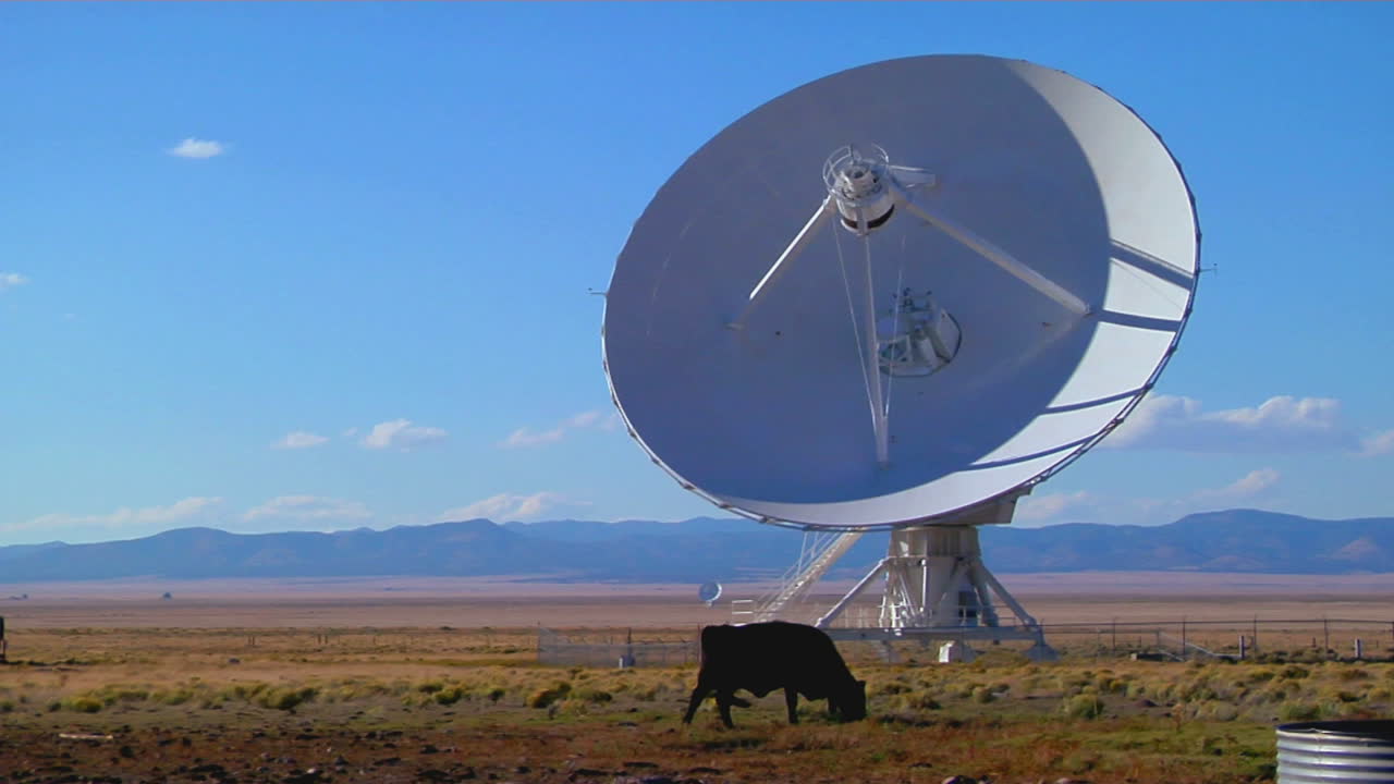 소가 있는 들판에 위성 접시가 앉아 있다 2