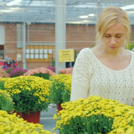 joven mujer caucásica elige flores para paisajismo en el vivero 4