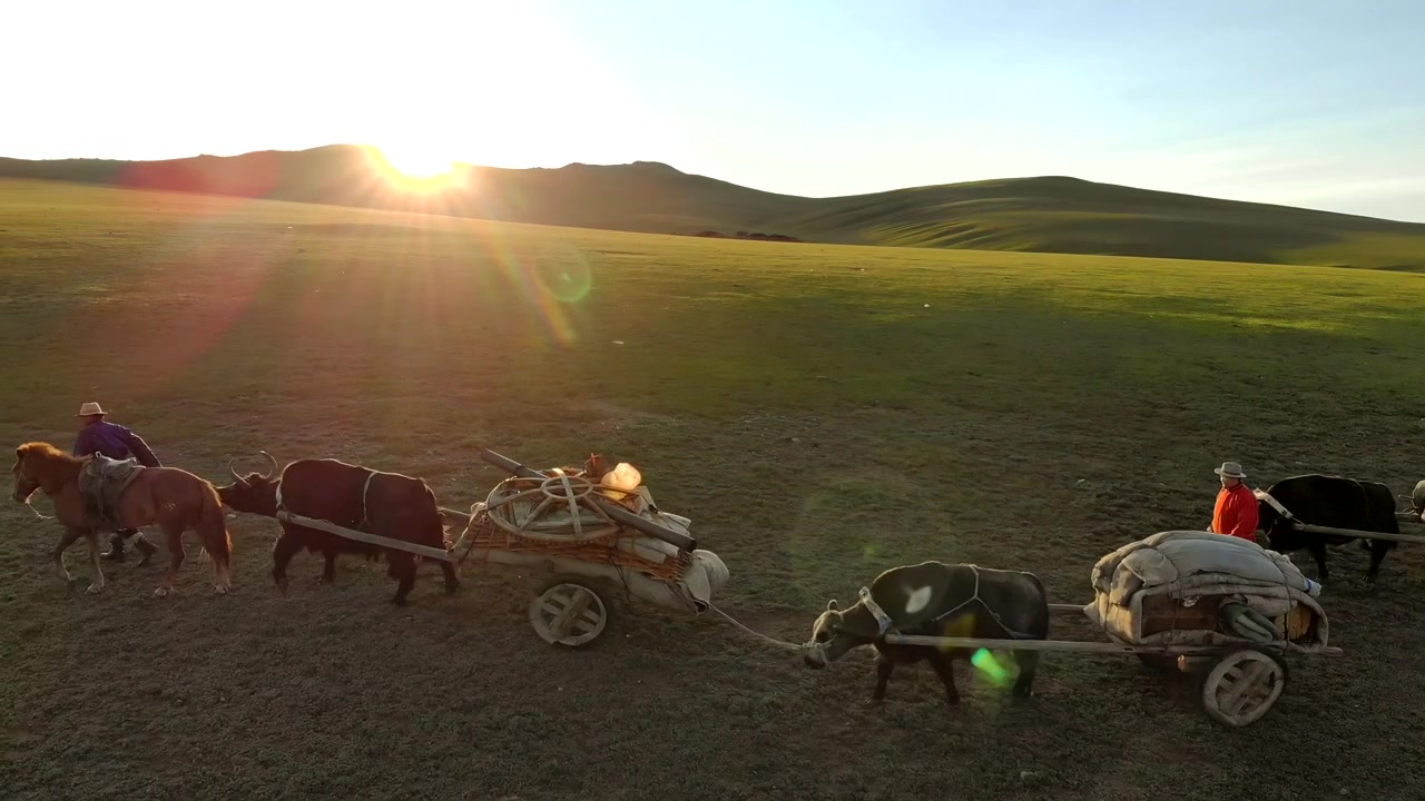 Penggembala Nomaden Bepergian dengan Gerobak yang Ditarik Yak Melintasi Stepa Mongolia