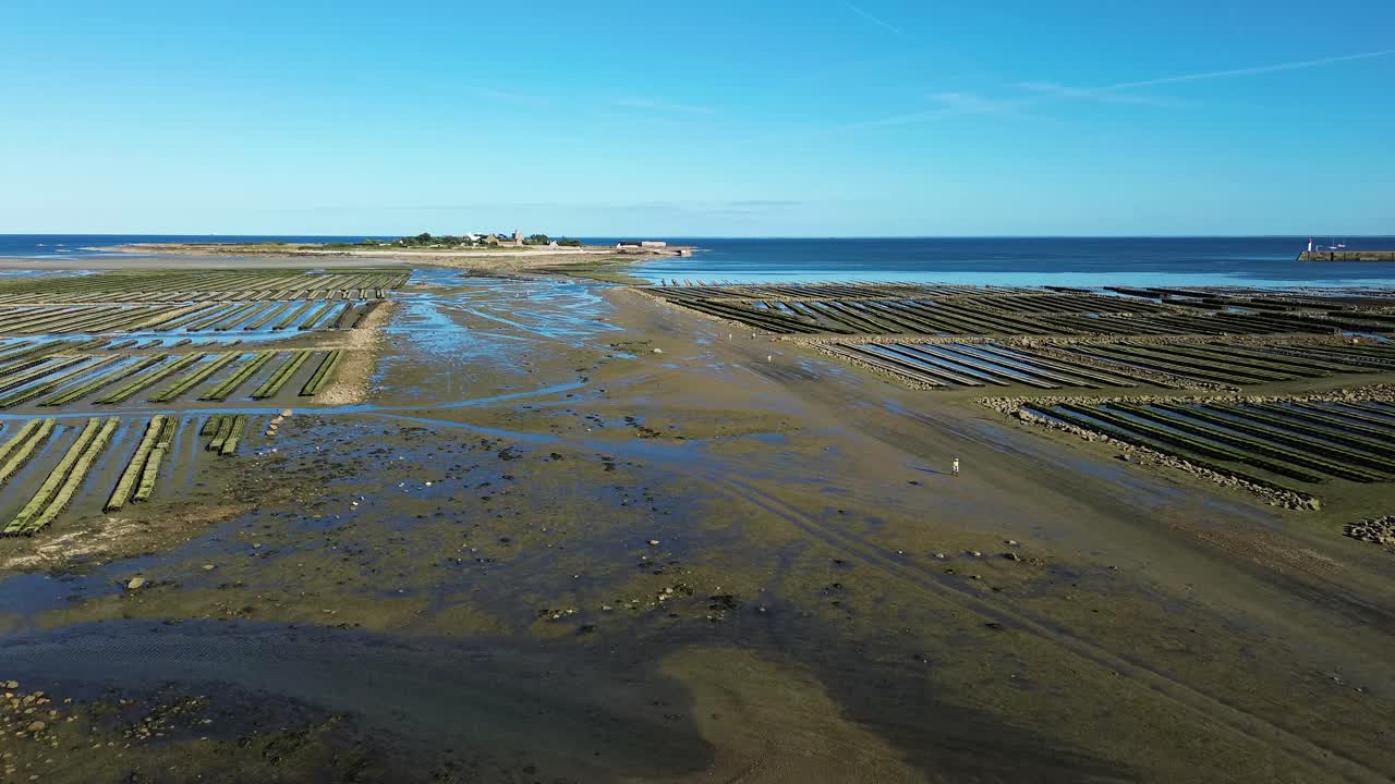 From above, Tatihou Island shines under the summer sun, its rich greenery and historic fortifications framed by the vast oyster beds shimmering at low tide