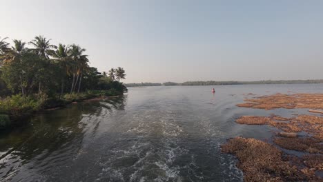 orilla del río tropical en kerala, barco navegando a lo largo de plantas acuáticas, alappuzha, india