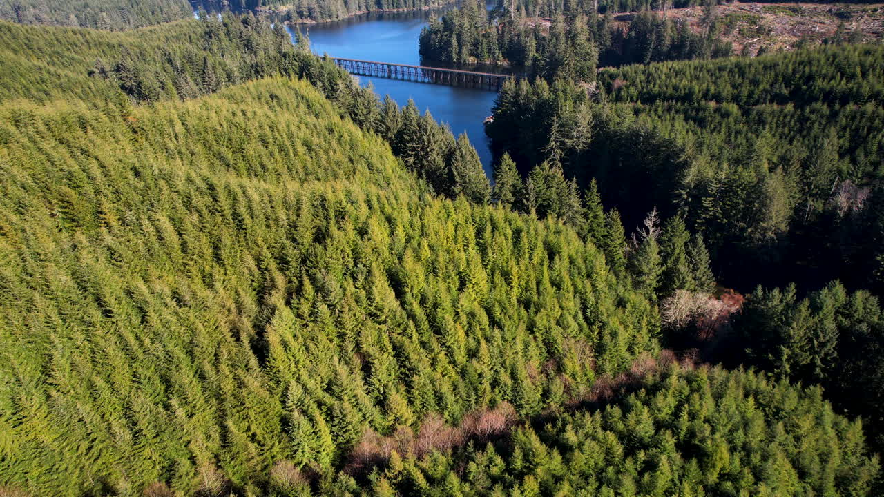 un dron volando sobre un río escondido en los abetos de douglas