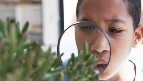 In-a-school-setting,-in-a-classroom,-a-young-African-American-student-examines-a-plant