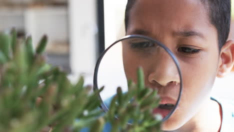 en un entorno escolar, en un aula, un joven estudiante afroamericano examina una planta