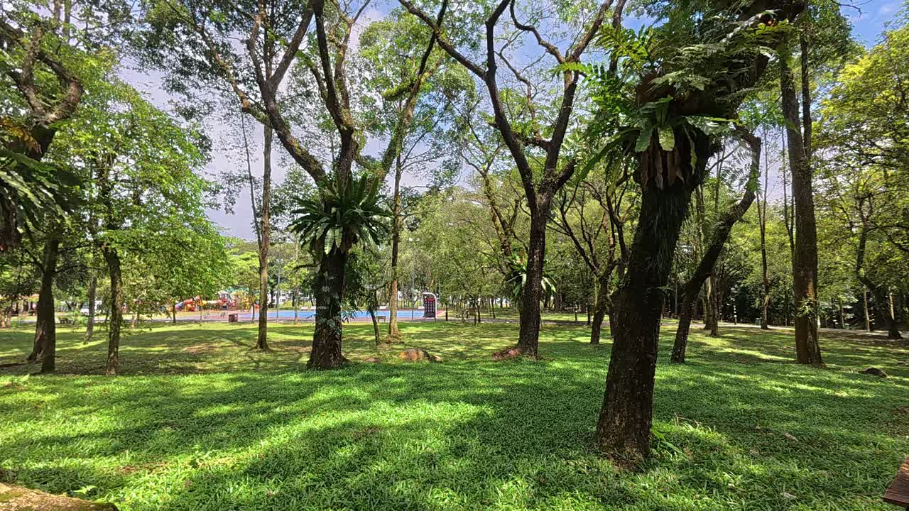 A lush tropical park with tall, shade-giving trees. Beneath, walkways and resting spots create a peaceful retreat in this vibrant tropical haven.