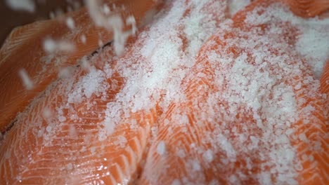 Rotating-closeup-slow-motion-coarse-rock-salt-is-hitting-stacked-up-salmon-fillets-inside-steel-container---Big-scale-industry-processing-of-salmon