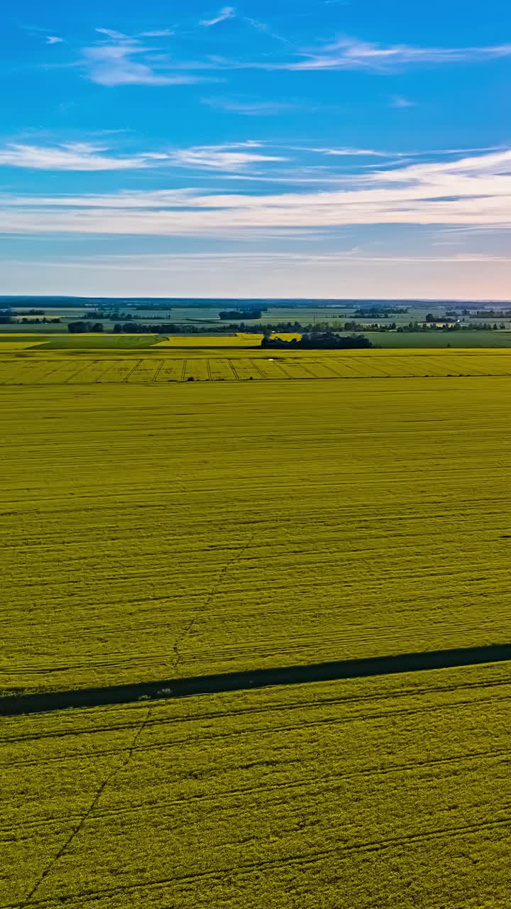 Aerial view of vast green fields under a blue sky, serene and expansive