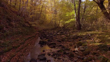 Disparos-De-Drones-Rápidos-Y-Bajos-Sobre-Un-Pequeño-Río-En-Otoño-1