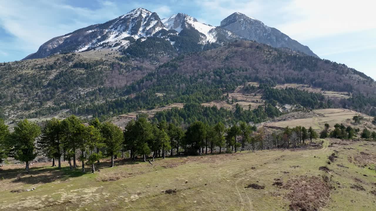 hermosa montaña con bosques en los lados y capa de nieve con tres picos