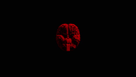 transparent red 3d brain spinning on black background