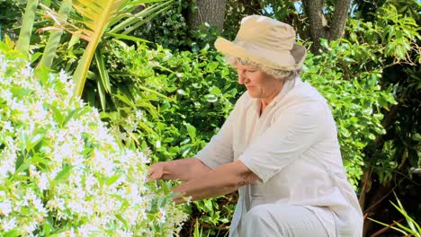 mujer madura podando un arbusto