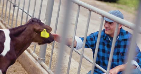 Agriculture-Farmer-Looking-At-Cows