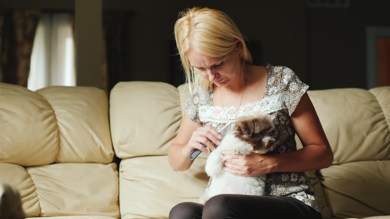 여자 신랑 작은 강아지