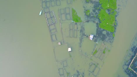 Toma-Aérea-De-Arriba-Hacia-Abajo-De-Jaulas-De-Peces-En-Un-Lago-Natural-De-Indonesia---Tema-De-Acuicultura