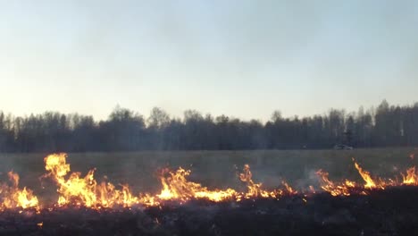 field fire at sunset