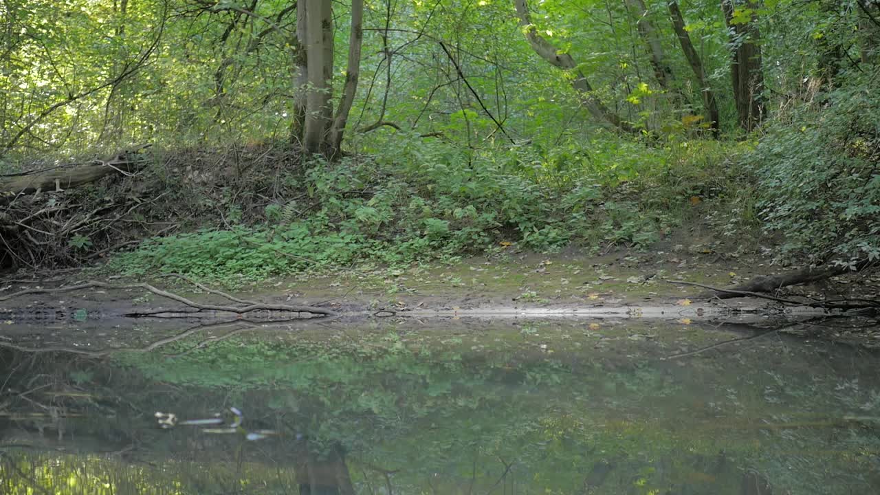 river floating through forest
