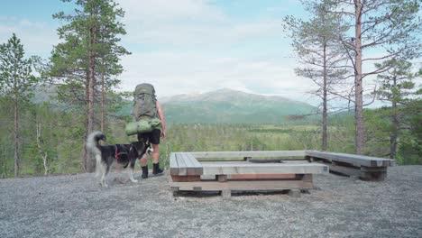 man and dog reached the picnic site in ånderdalen national park in the island of senja, norway with the view of the mountain and fields