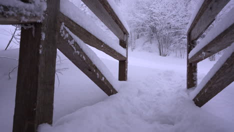 dolly pan rodada en el maravilloso invierno de la montaña del este de canadá