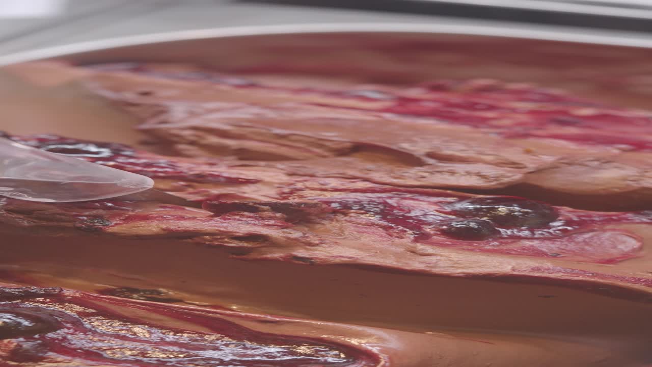 Chocolate Cherry Ice Cream