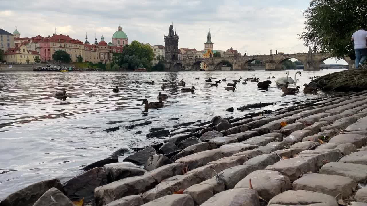 timelapse de un crucero en barco fluvial en el río vltava con el puente carlos, la iglesia católica de santa salvatora y la torre del puente de la vieja ciudad en el fondo, praga, república checa