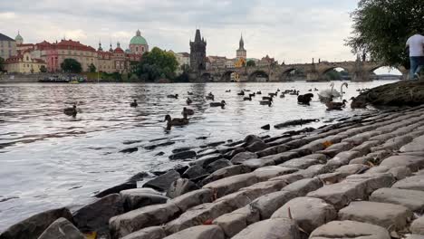 Timelapse-of-a-riverboat-cruise-on-the-Vltava-River-with-Charles-Bridge,-St-Salvatora-catholic-church-and-Old-Town-Bridge-tower-in-the-background,-Prague,-Czech-Republic