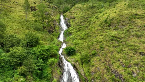 surrounding vegetation adds to the tranquility of waterfall motion