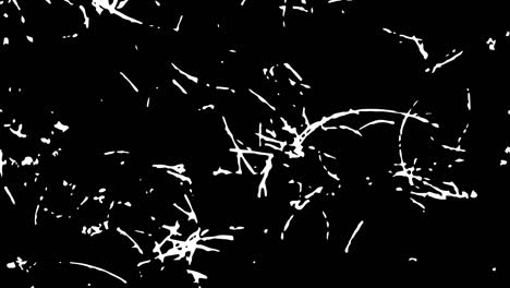 abstract digital animation white noise on black background.