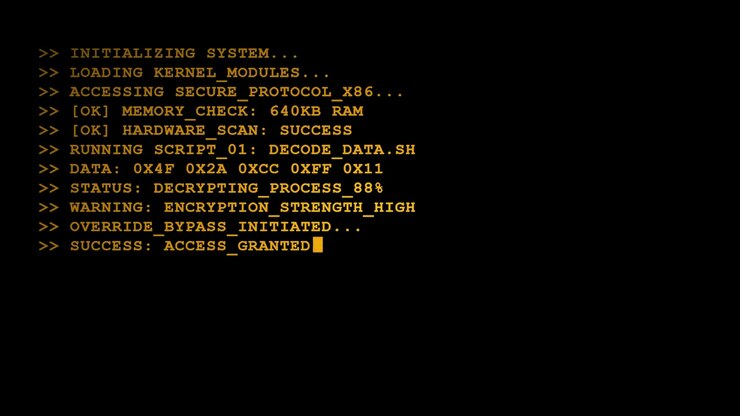 Computer Terminal Displaying System Initialization and Data Access Process