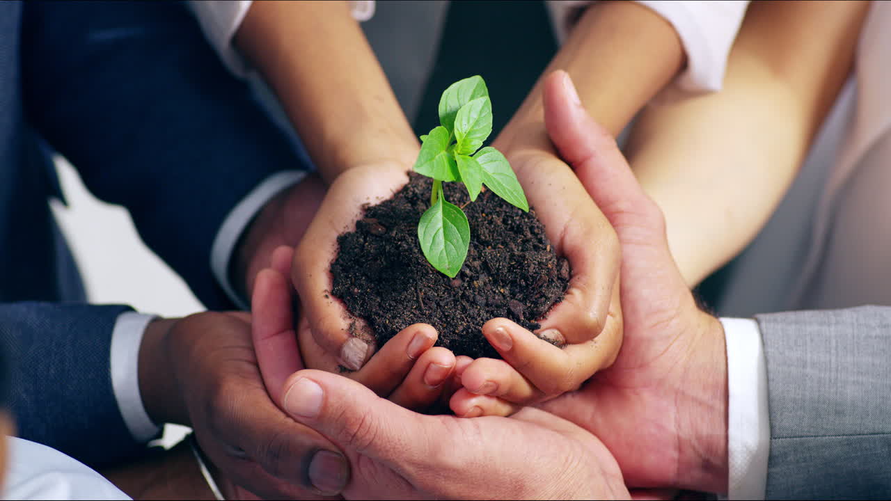 el crecimiento es un esfuerzo de equipo.