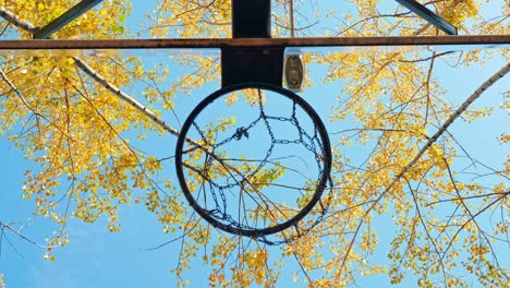 a basketball ball flies into the basket.