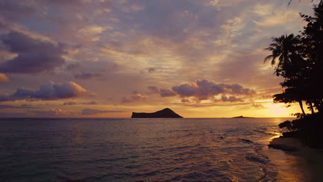 Drone-shot-flying-through-a-palm-tree-at-sunrise-in-Hawaii-with-rabbit-island-in-the-background