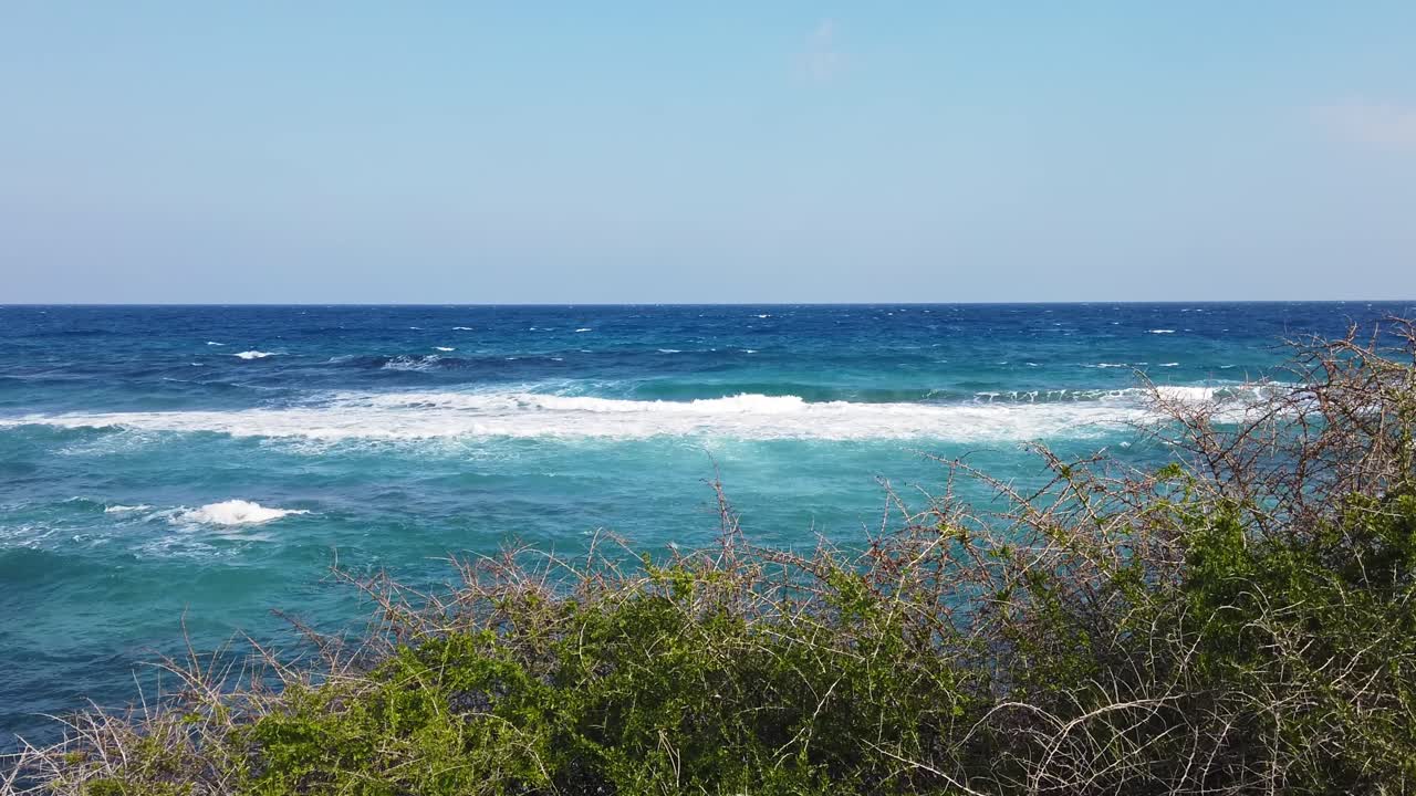 Blue waves of the Mediterranean sea flowing to the coast, lush bushes on the foreground