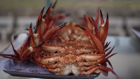 cooked crabs on display at a local market in sri lanka
