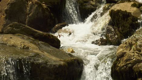 Mountain-stream-rushing-over-rocks-and-boulders,-close-up