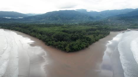 hebra de playa de cola de ballena en la costa del océano de costa rica durante la marea alta,