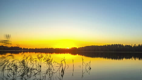 Eine-Zeitrafferaufnahme-Eines-Sonnenuntergangs-An-Einem-See-Am-Wald-Von-Der-Abenddämmerung-Bis-Zur-Dämmerung