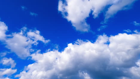 Soft fluffy white clouds flying in the atmosphere. Low angle view on the cloudscape covering the blue sky. Timelapse.