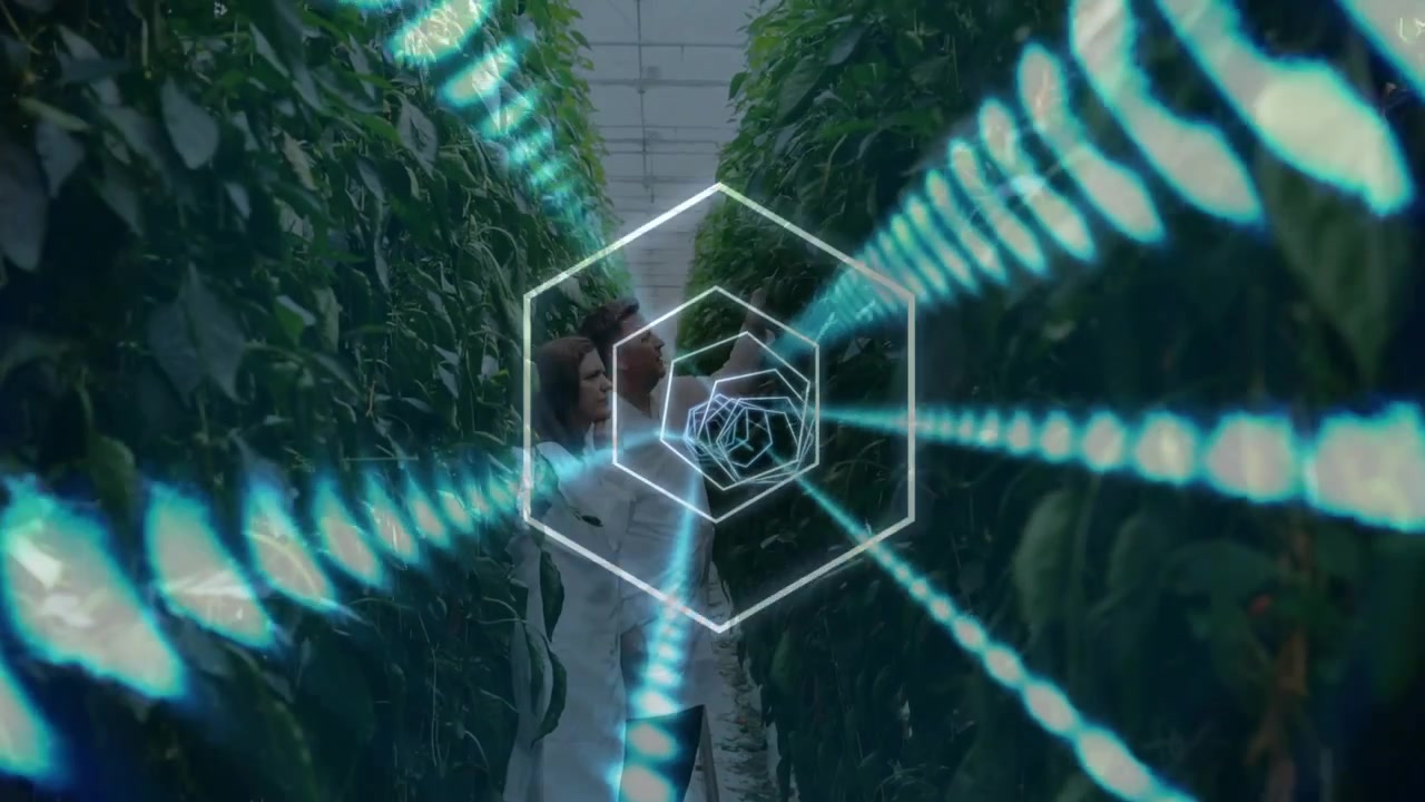 Scanning grid sweeping greenhouse walkway guiding two scientists touching foliage walls for science