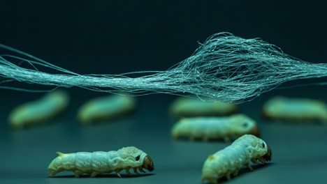 a captivating close-up of silkworms interacting with silk threads, showcasing their unique biology and the intricate relationship between these larvae and their silk production