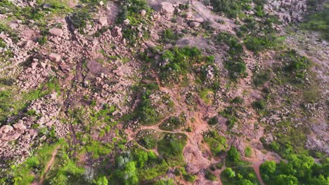 Enchanted-Rock-in-the-Hill-Country-of-Texas-in-the-Morning-Light