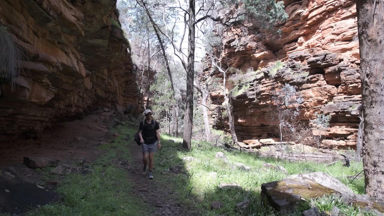 Escursionista solitario che esplora la serena natura selvaggia del sentiero Alligator Gorge, Parco Nazionale Mount Remarkable, Australia.