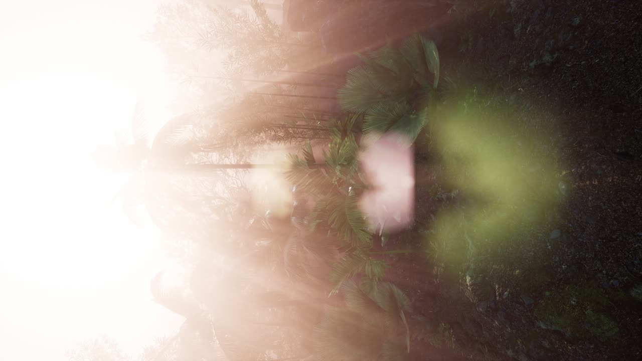 ⁇ 나무 를 가로지르는 해 가 지는 광선