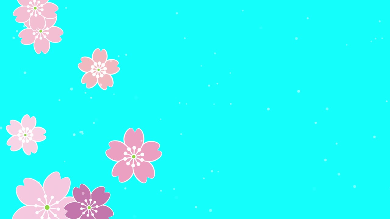 A video with a light blue background as the cherry blossoms climb while rotating