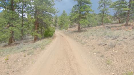 pov driving in all terrain vehicle on narrow dirt trail on mountains of colorado