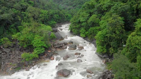 4k vuelo aéreo hacia atrás revela toma de un puente colgante en los bosques de khasihills, cheerapunji, meghalaya, india